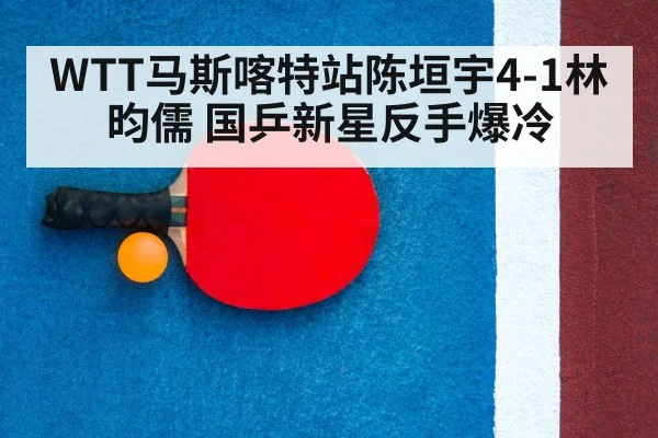 ping pong racket